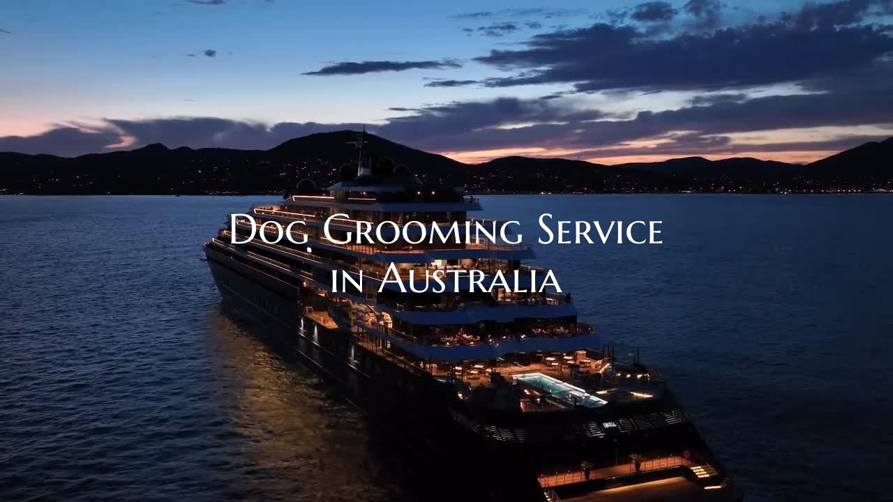 Dog Grooming Service in Aust...